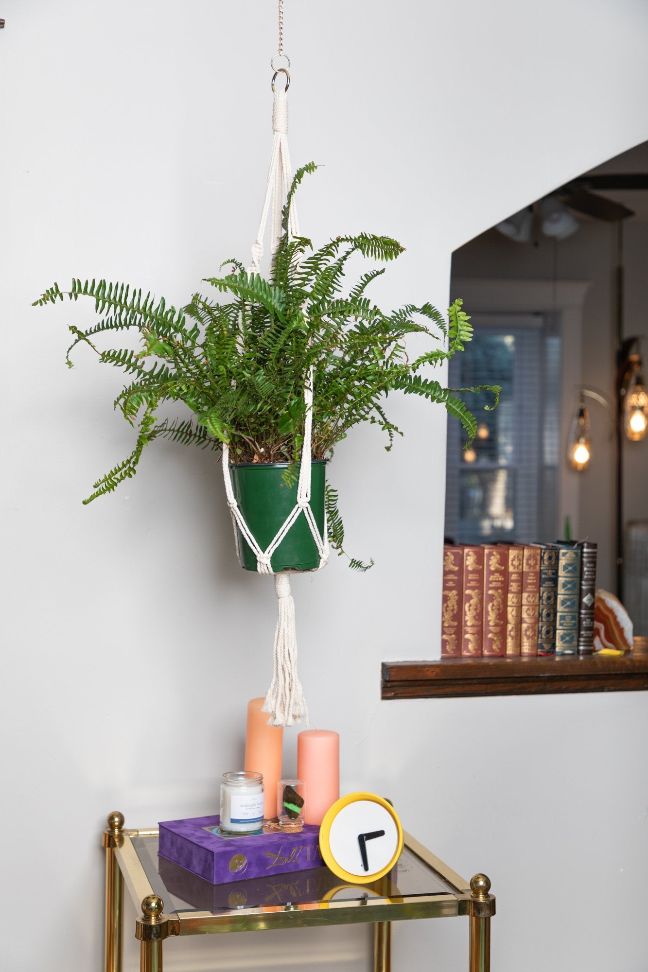 The Lark Macrame Plant Hanger