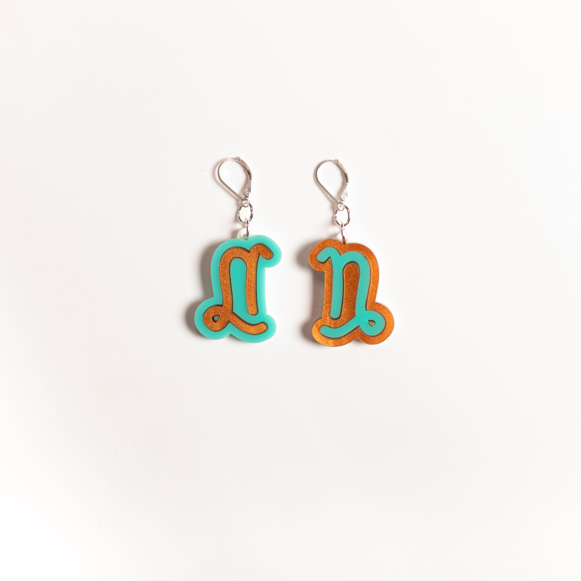 The Capricorn Sign Dangle Earrings,EarringMindFlowers