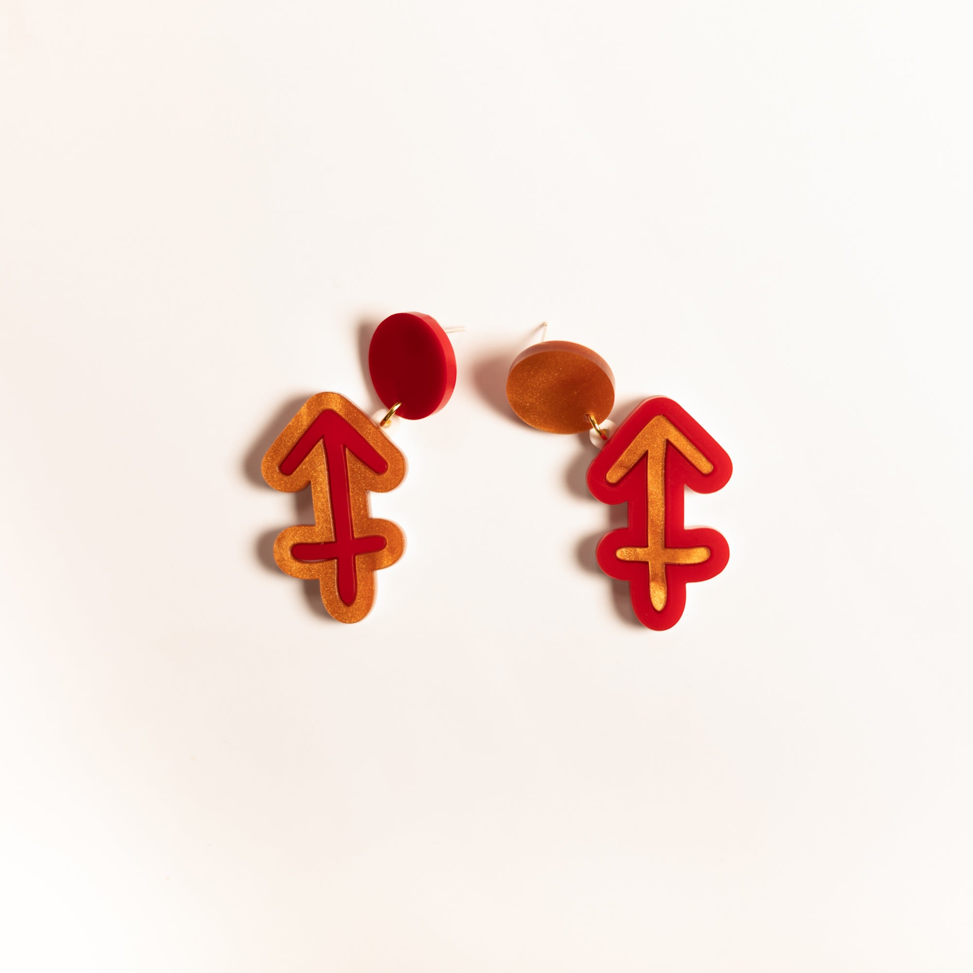 The Sagittarius Sign Hanging Stud Earrings,EarringMindFlowers