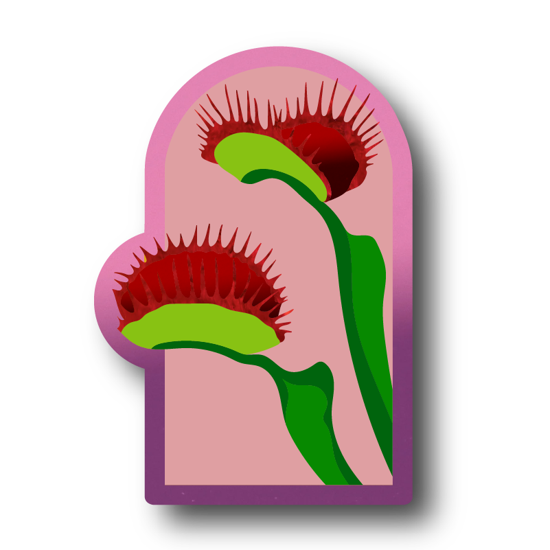Venus Flytrap Wall Art and Mirror
