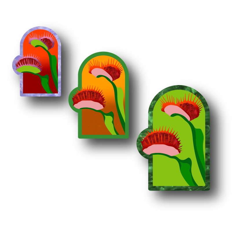 Venus Flytrap Wall Art and Mirror