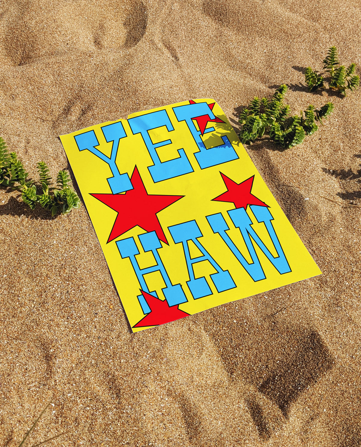 Yee Haw Art Print