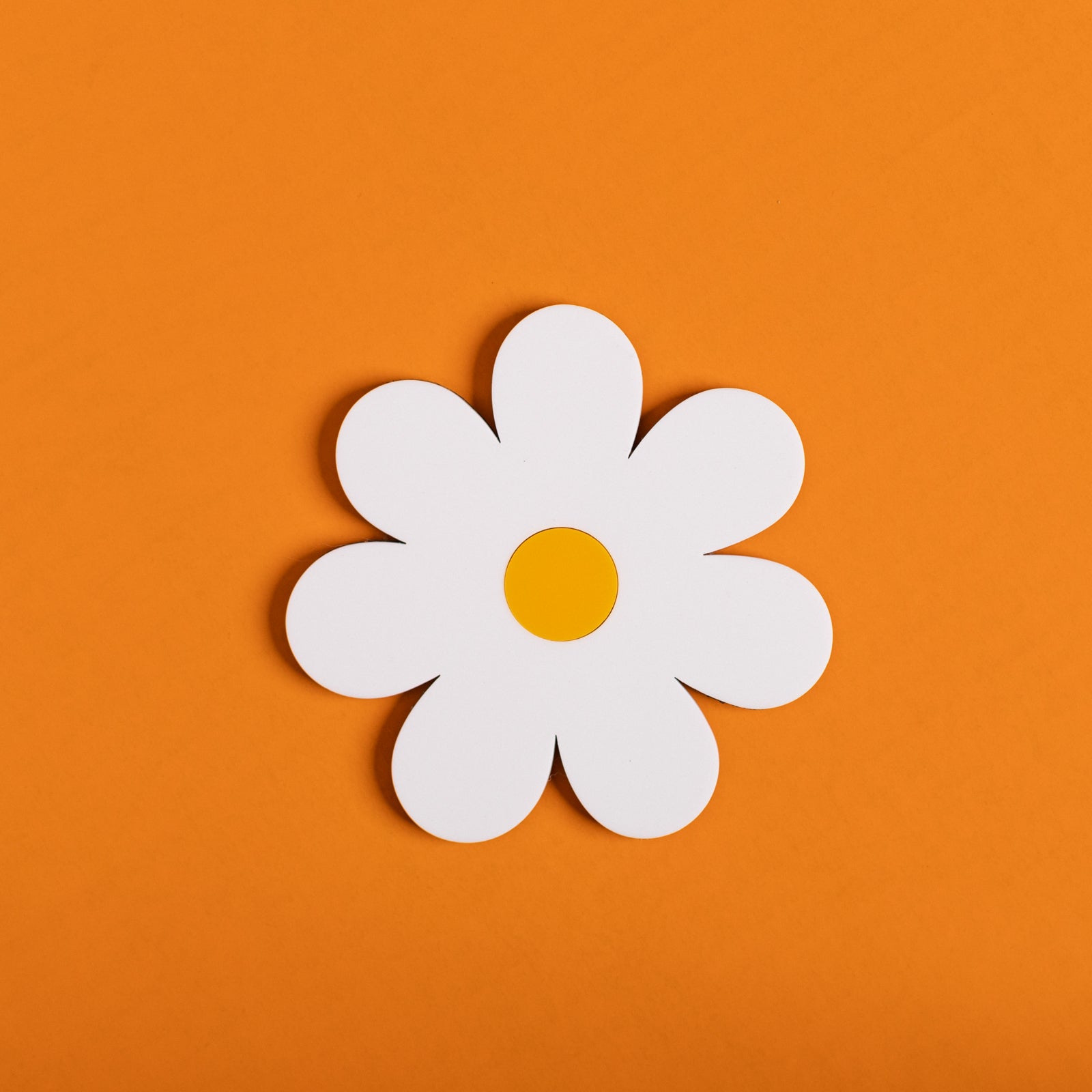 Daisy Coasters Pack of 6
