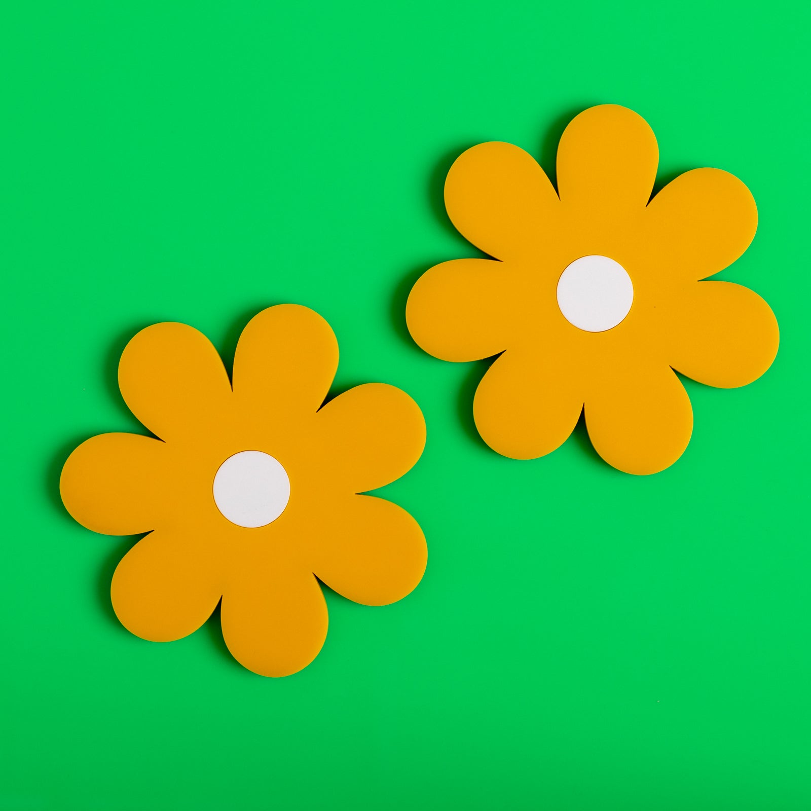 Daisy Coasters Pack of 6